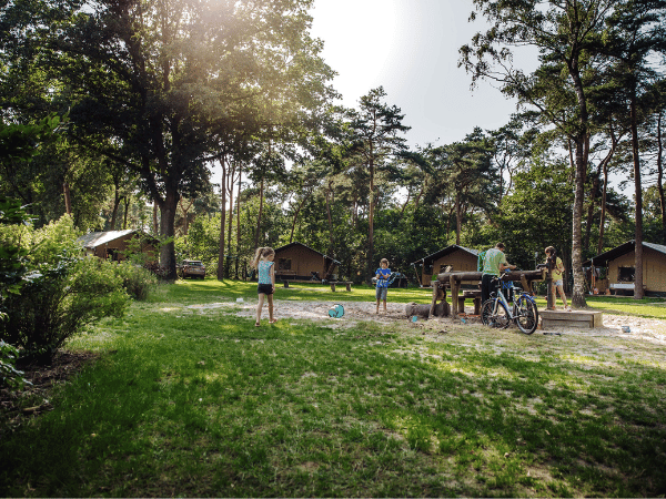 Camping Beringer Zand Limburgse Peel