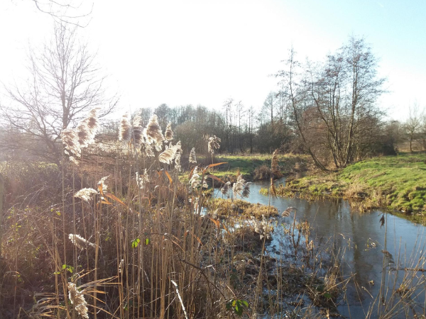 Landschapspad 't Ham-Limburgse Peel