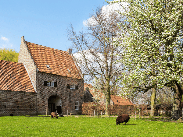 Kasteelke in de lente.