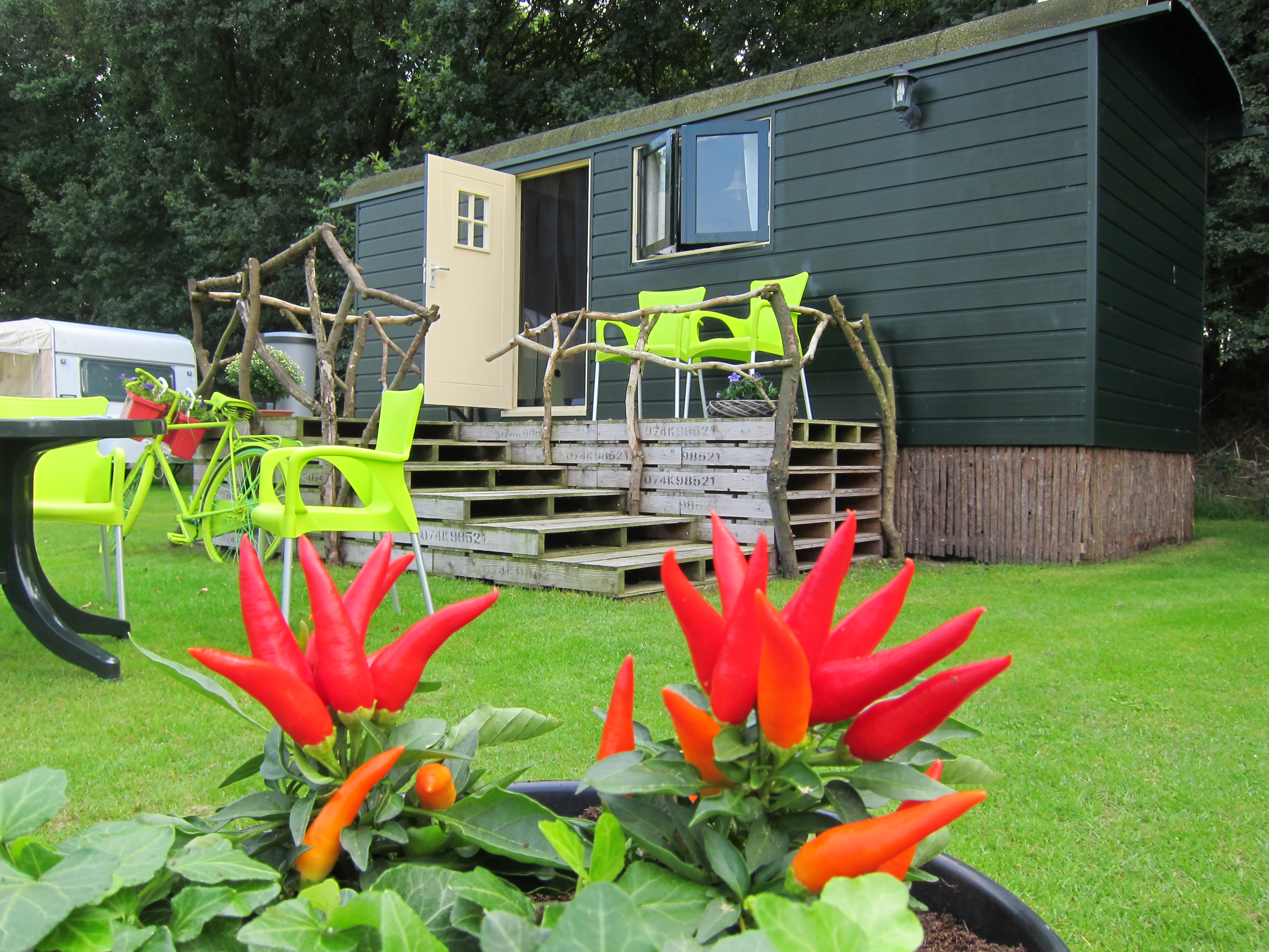 Pipowagen te zien op groen grasveld.