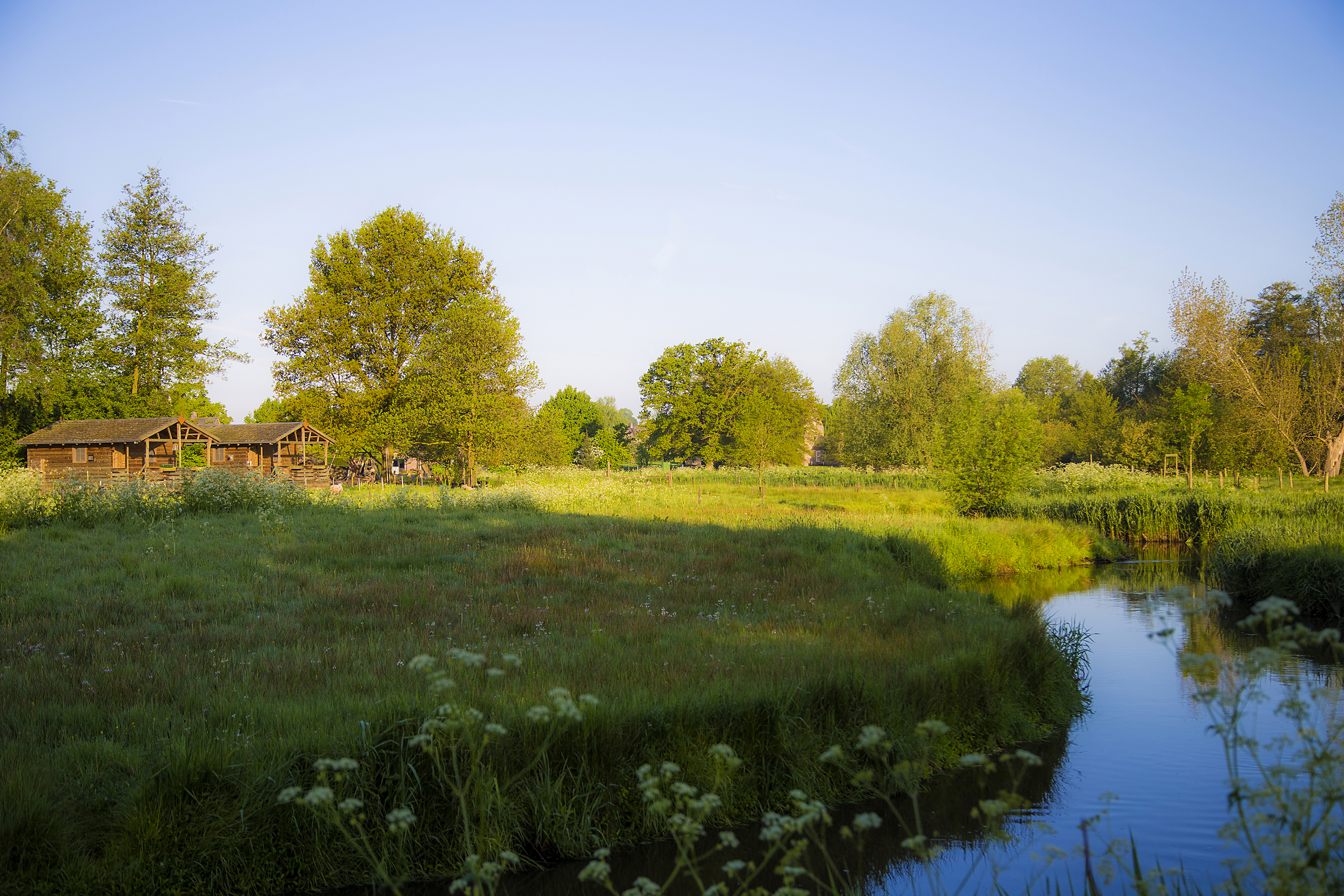 Hutjes op een weiland langs een kanaal.