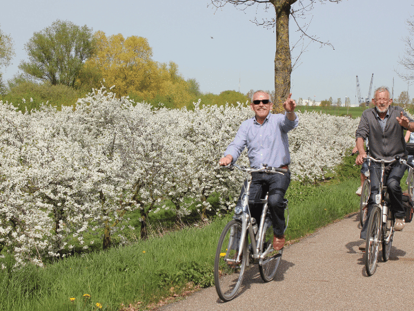 Fietsers langs het platteland met mooie bloesem.