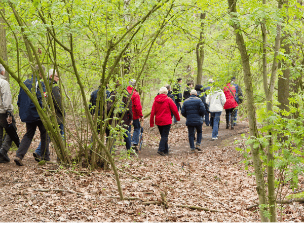 Een groep mensen zijn door het bos aan het wandelen. 